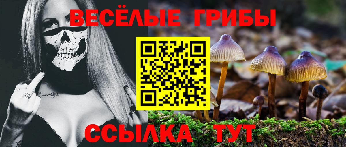 как найти наркотики  Галлюциногенные грибы Cubensis  Вход с VPN  Норильск 