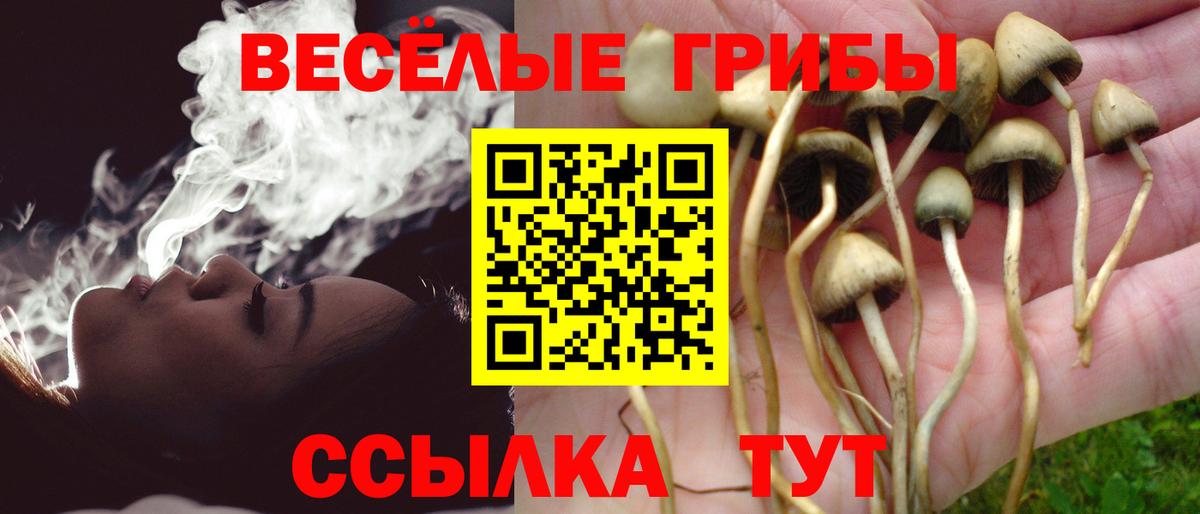 Галлюциногенные грибы ЛСД Норильск